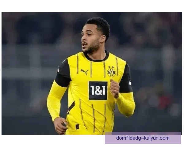 英超布伦特福德青训持续提升，培养出众多潜力新星