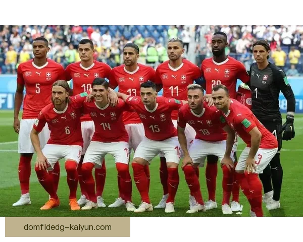 以色列在欧洲杯预选赛中的表现稳健，展现出提升的竞争力。